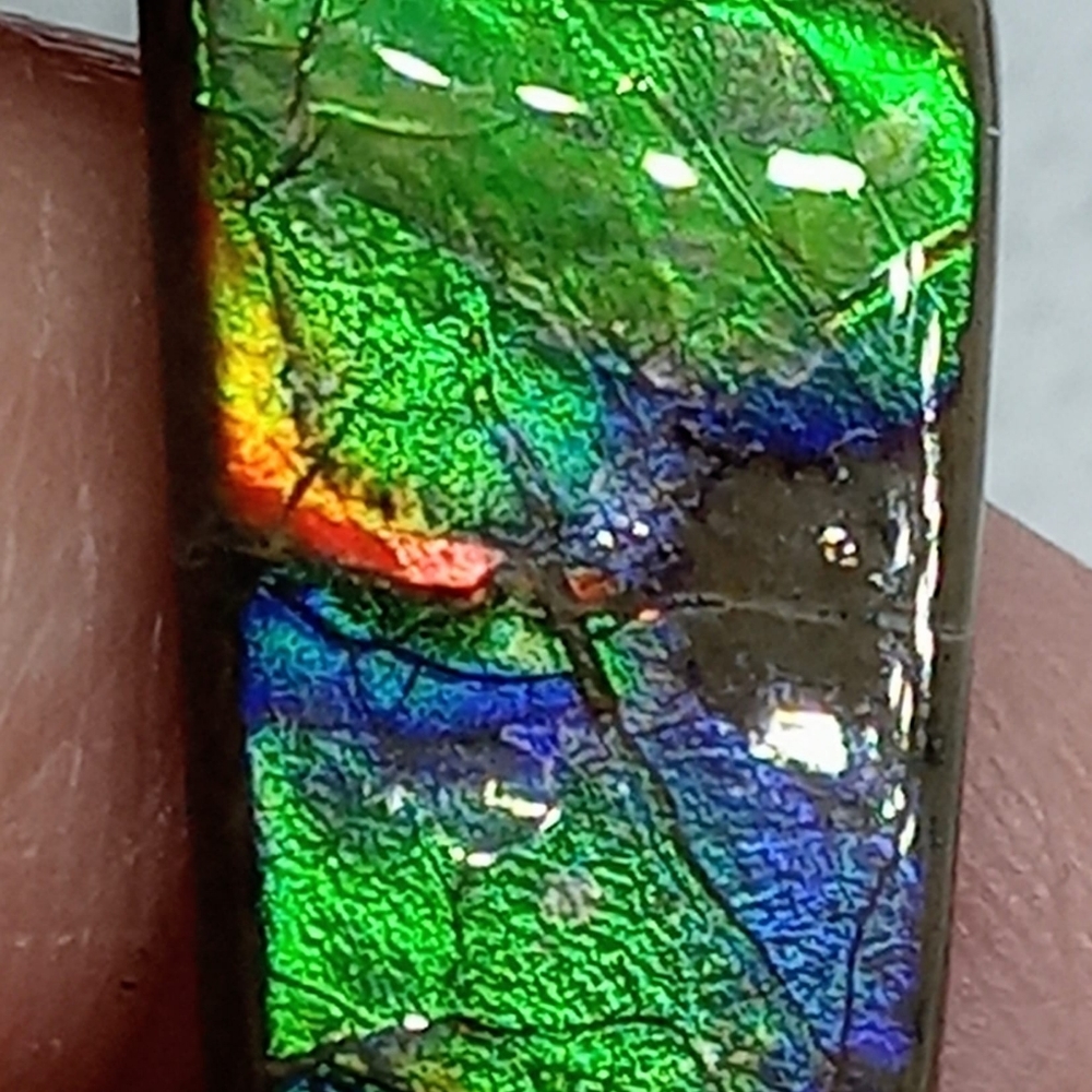 Ammolite cabachon for jewelry makers